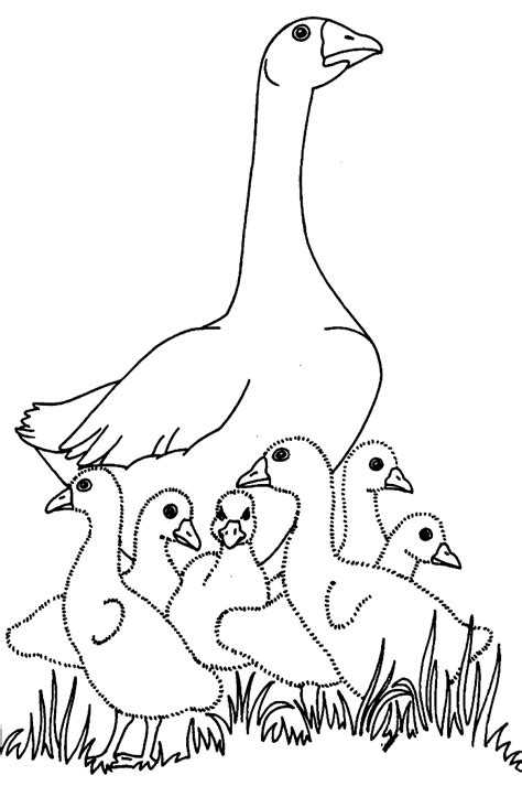 Baby Goose Coloring Page Adorable Designs For Your Little Ones To Color