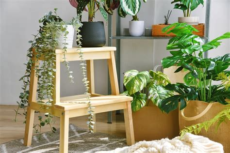 Comment Ajouter Du Charme Avec Des Plantes Artificielles