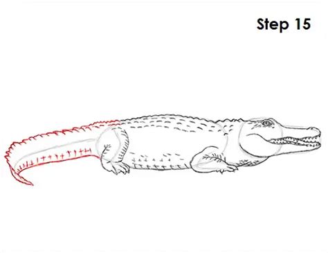 How To Draw A Crocodile Video And Step By Step Pictures