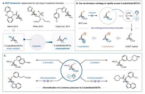 Rapid Synthesis Of Substituted Bicyclo Pentanes A Examples Of