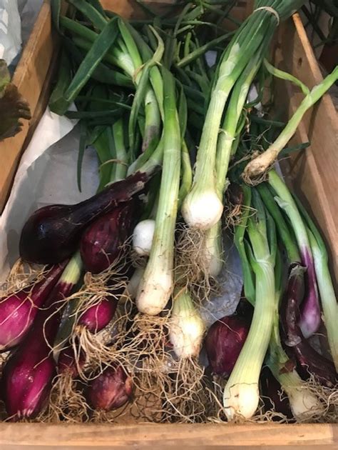 Contenu De Votre Panier De L Gumes Du Au Mai La Ferme De Chosal