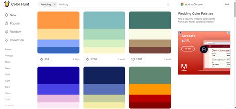 Explore the 4 Best Websites for Amazing Color Templates in 2024