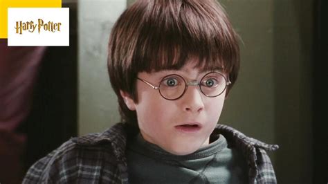 Harry Potter La Pr Histoire Voil Quoi Ressembleraient Les