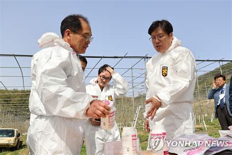 조재호 청장 과수화상병 약제 방제 현장 방문 연합뉴스