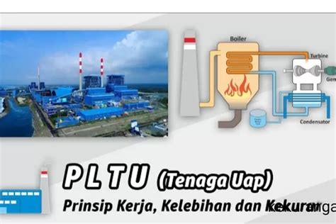 Prinsip Kerja Dan Peran Penting Pembangkit Listrik Tenaga Uap Pltu