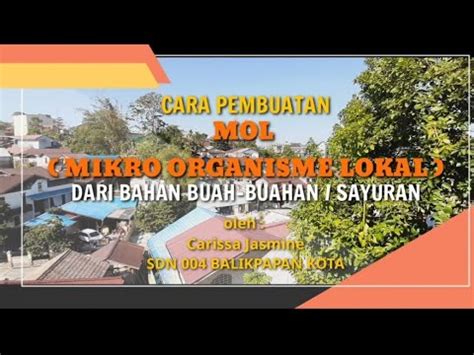 CARA MEMBUAT MOL MIKRO ORGANISME LOKAL DARI BAHAN BUAH BUAHAN YouTube