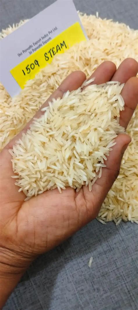 Long Steam Basmati Rice Available Buy Indian Basmati Rice Steam