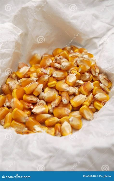 Corn Kernels Dried For Popcorn Stock Photo - Image: 696010