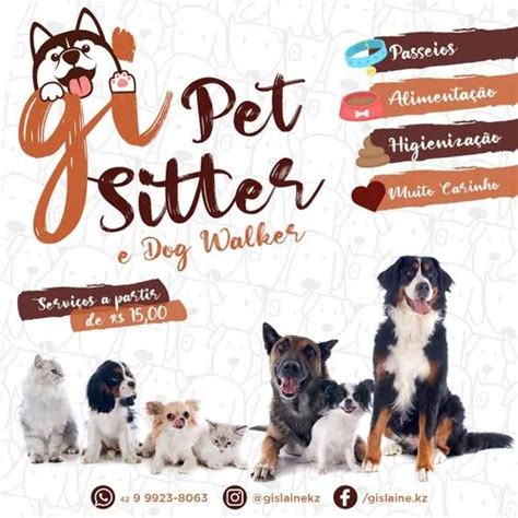 Pet Sitter Passeadora Caes 【 ServiÇos Novembro 】 Clasf