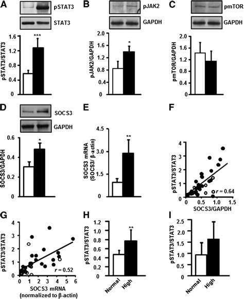 Protein Phosphorylation And Gene Expression In Skeletal Muscle From Ngt