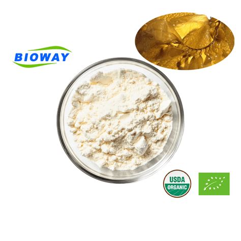 China Brown Seaweed Extract Fucoidan Powder Supplier Manufacturer