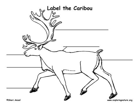 Caribou Labeling Page