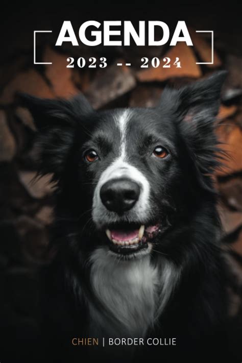 Amazon Fr Agenda Chien Border Collie Ann E Scolaire