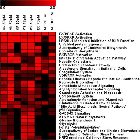 Heatmap Of Canonical Pathway Enrichment Analysis Results Enrichment