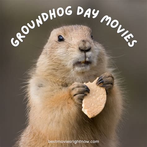 Groundhog Day Movies Best Movies Right Now