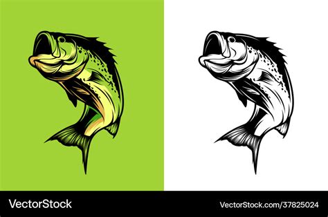 Bass Fisch Lizenzfreies Vektorbild VectorStock