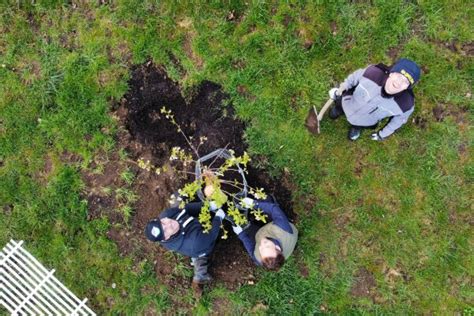 Bayerisches Staatsministerium für Ernährung Landwirtschaft Forsten