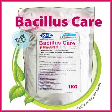 Kg Bacillus Care Racun Kulat Bio Ken Microbes Bio Fungicide Imune