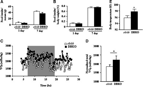 Protein Kinase Cβ Deficiency Attenuates Obesity Syndrome Of Obob Mice