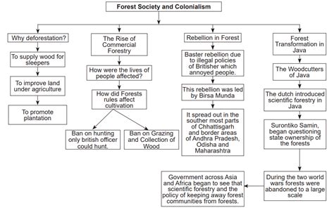 Forest Society And Colonialism Class Revision Notes Cbse History