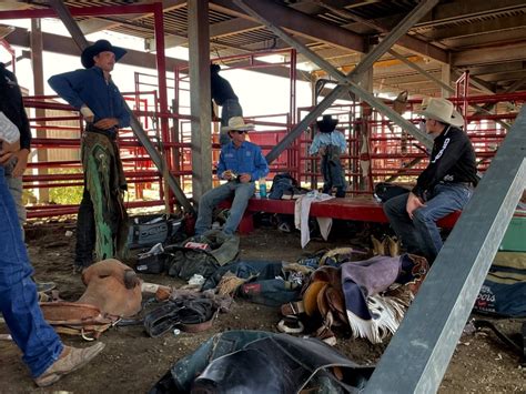 The Cowboys In The Chutes And A New Golden Age For Alberta Saddle Bronc