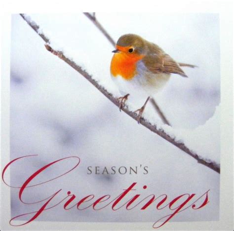 Robin Christmas Cards Pack Of 5