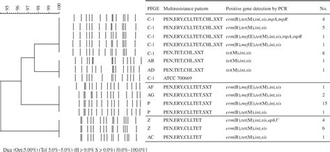 Figure From Emergence Of A Multidrug Resistant Clone St Among