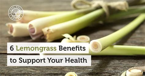 6 Lemongrass Benefits To Support Your Health Wake Up World