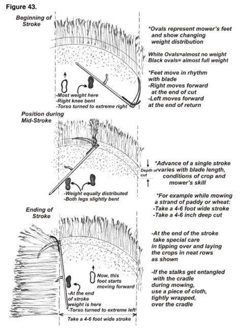 Chapter 7. Mowing Techniques | Scythe Works