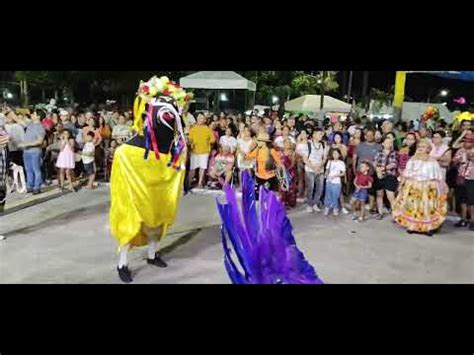 Rolarola Boi Bumbá Juventude Curumim Tabatinga Arraial de Belém TAMO