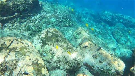 Kona Coast Snorkeling Hale O Keawe Two Step Beach Part 15 Achilles Tang Black Orange