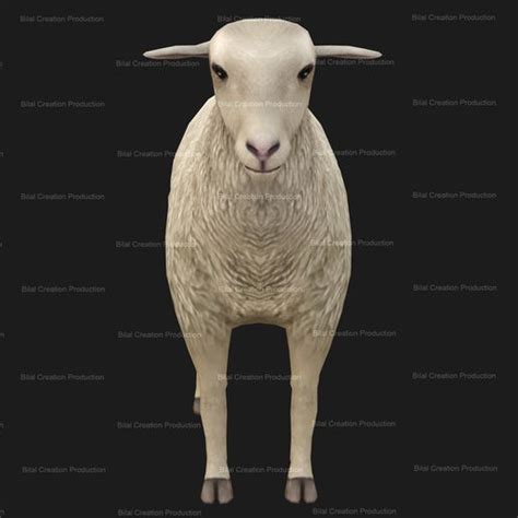 DXF file Sheep with Animation・3D printer design to download • Cults