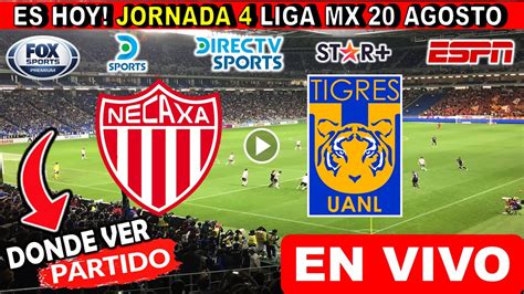 Necaxa Vs Tigres En Vivo Donde Ver Y A Que Hora Juega Necaxa Vs Tigres