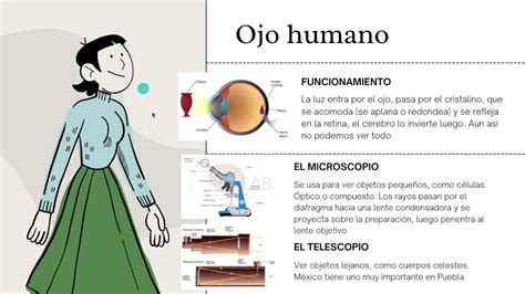 Ciencias Naturales Sexto Grado Bloque IV Como Se Transforman Las