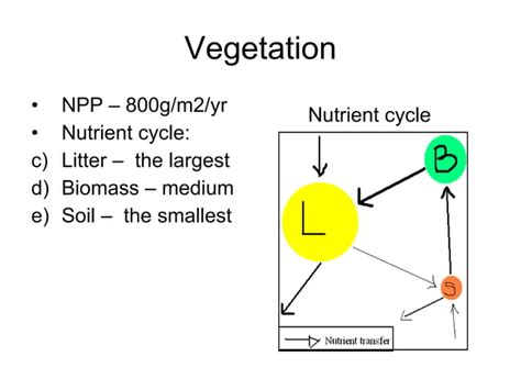 IB Geography - Ecosystems. Biomes - Taiga aka Coniferous forest | PPT ...