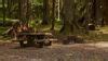 Sol Duc Hot Springs Resort Campground Olympic National Park WA Latest Reviews Photos