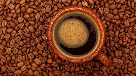 Robusta coffee: what are its characteristics? - Huupa Coffee