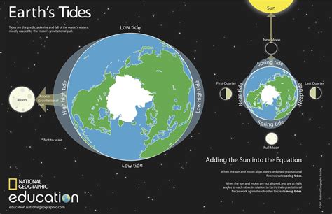 Earth's Tides Diagram | Quizlet