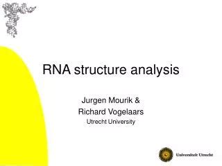 PPT - RNA: Structure & Function PowerPoint Presentation, free download ...