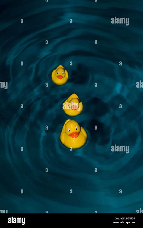 rubber ducks in deep water Stock Photo - Alamy