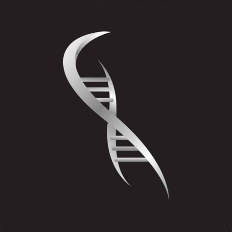 Differences Between Dna And Rna Vector Scientific Icon Spiral Of Stock