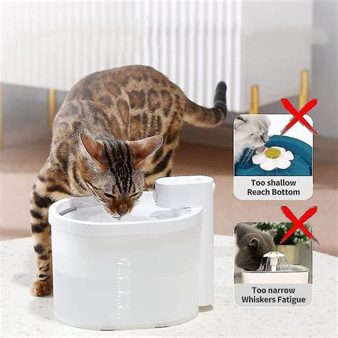 Fuente de gato Fuente inalámbrica a batería Fuente de agua automática