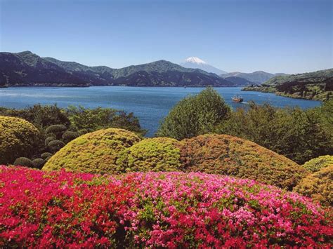 Top 6 Must Hiking Trails in Hakone | Tourist info by K's House local staffs