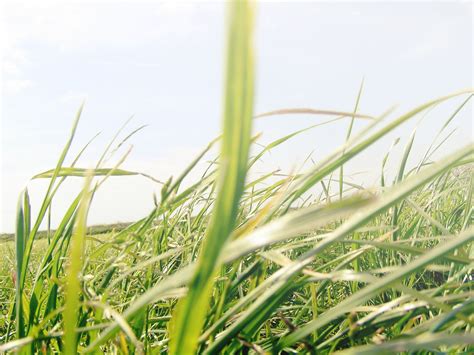 Yard Restoration | Coon Rapids, MN - Official Website