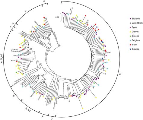 Phylogenetic tree of the samples used in the study. Neighbour-joining ...