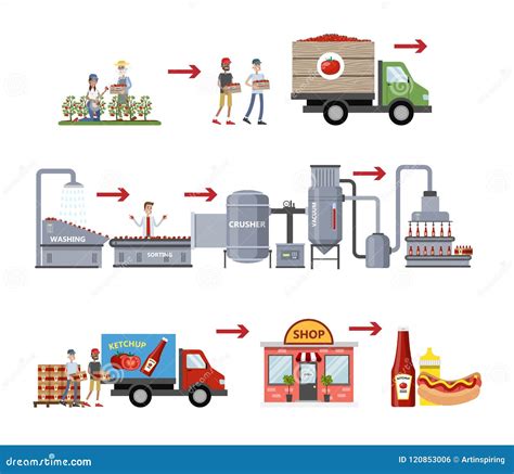 Proceso De La Fabricación De La Salsa De Tomate Ilustración del Vector