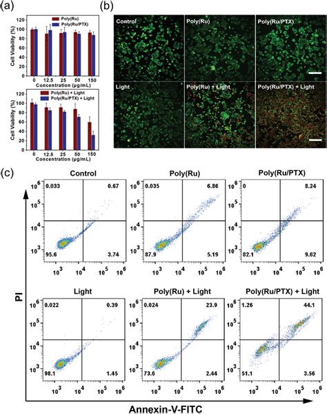 In Vitro Cytotoxicity Of Poly Ru Ptx Nanoparticles A Cell Viability