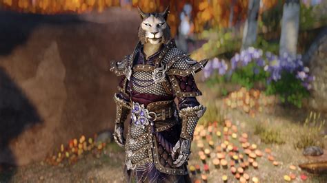 Khajiit Has Wears Update At Skyrim Special Edition Nexus Mods And