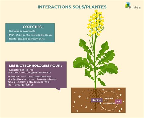 Caract Riser Le Microbiote Du Sol Pour Renforcer La Bioprotection Phyteis