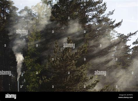 Beautiful Landscape Sun Rays Shine Through Trees Stock Photo Alamy